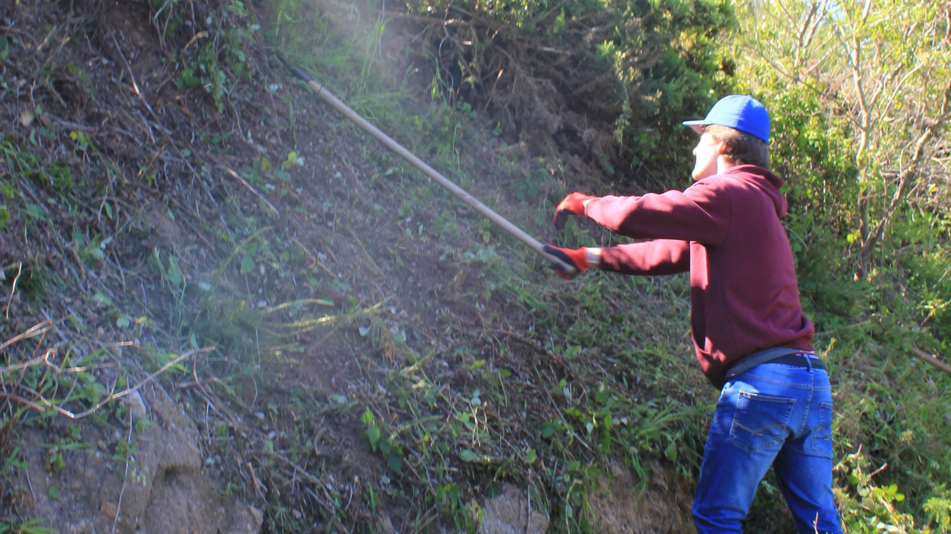 Volunteer program